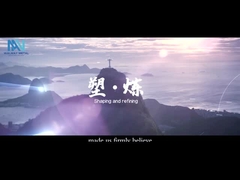 Το διαφημιστικό βίντεο της Shanghai Walmay Metal Group